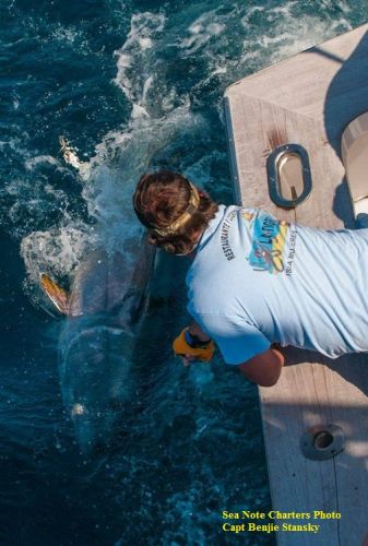 TW’s Bait & Tackle, Daily Fishing Report