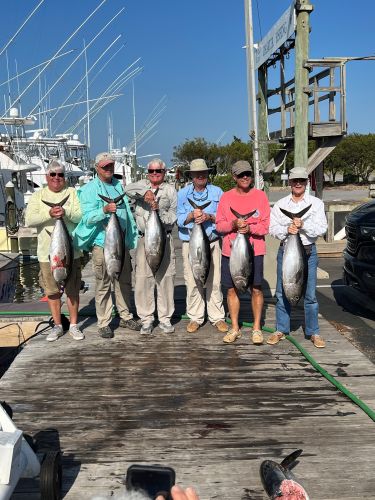 Pirate's Cove Marina, Testy Tuesday