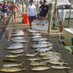Bite Me Sportfishing Charters, Tuna and Dolphin!