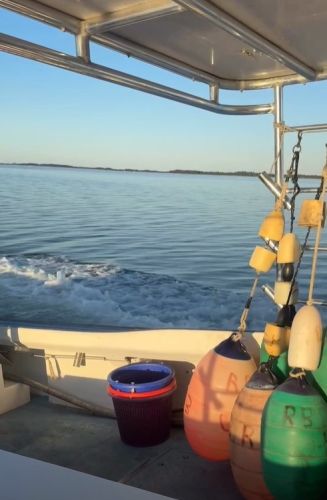 Risky Business Shrimping & Crabbing Charters, Trading Shrimping for Fishing!
