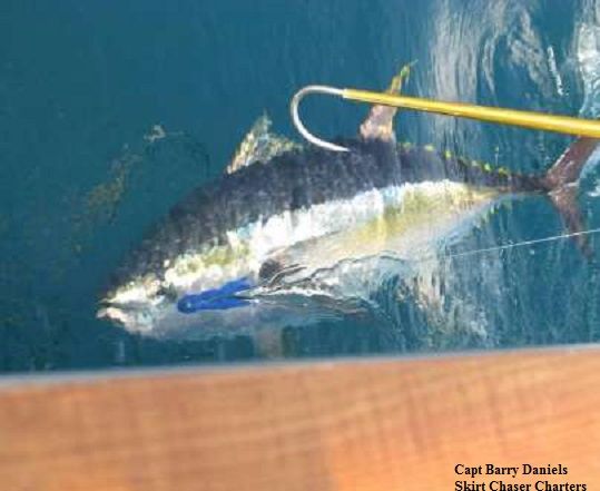 TW’s Bait & Tackle, Daily Fishing Report