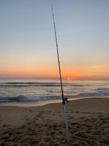 TW’s Bait & Tackle, TW's Daily Fishing Report