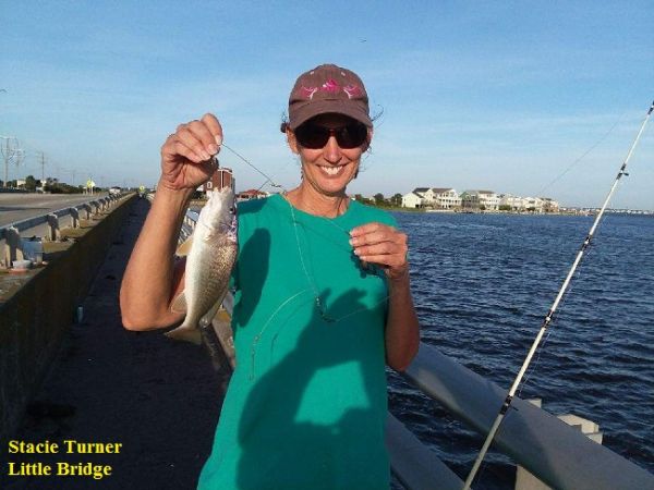 TW’s Bait & Tackle, Daily Fishing Report