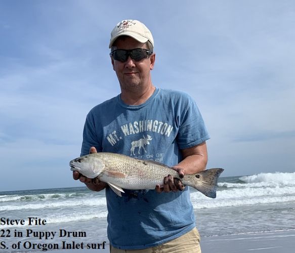 Tw S Daily Fishing Report October 22 2020 Tw S Bait Tackle Outer Banks Fishing Reports