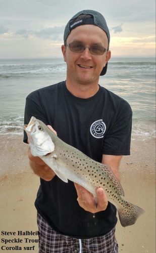 TW’s Bait & Tackle, Daily Fishing Report