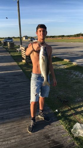 TW’s Bait & Tackle, Daily Fishing Report