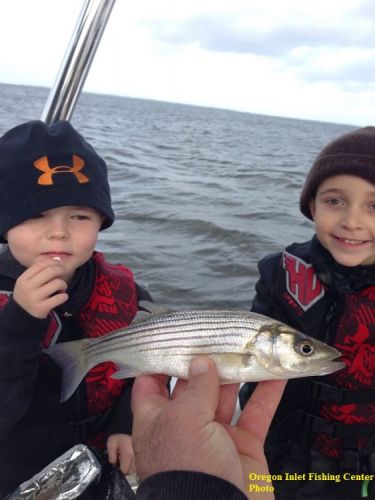 TW’s Bait & Tackle, TW's Daily fishing Report. 12/30/15