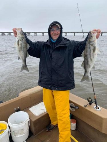 Oceans East Bait & Tackle Nags Head, Stripers are biting