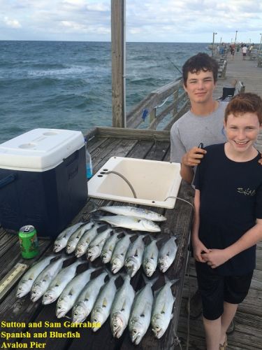 TW’s Bait & Tackle, Daily Fishing Report