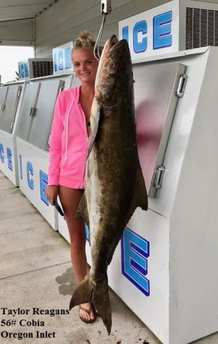 TW’s Bait & Tackle, Daily Fishing Report