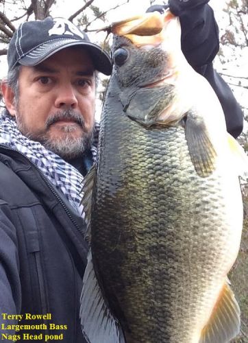 TW’s Bait & Tackle, Daily Fishing Report