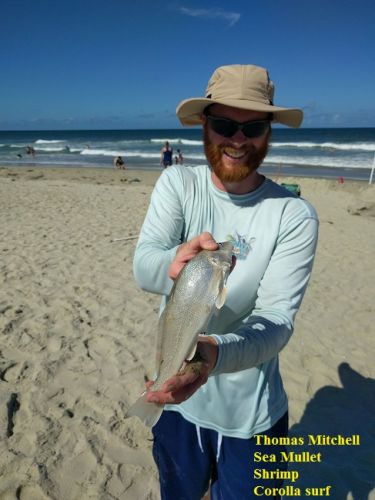 TW’s Bait & Tackle, Daily Fishing Report