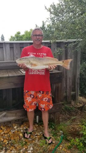 OBX Bait & Tackle Corolla Outer Banks, Corolla Fishing Report