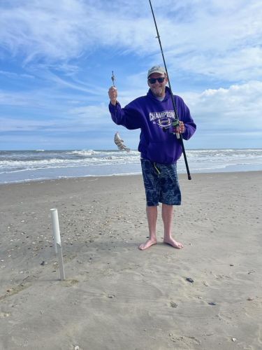 OBX Bait & Tackle Corolla Outer Banks, Corolla Fish Report