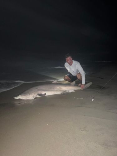 OBX Bait & Tackle Corolla Outer Banks, Corolla Fish Report