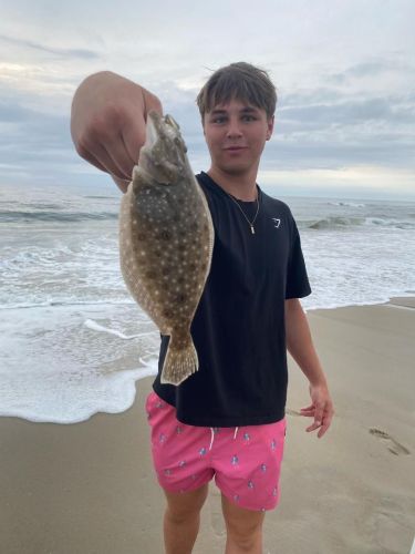 OBX Bait & Tackle Corolla Outer Banks, Corolla Fish Report