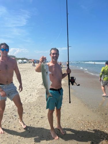 OBX Bait & Tackle Corolla Outer Banks, Corolla Fish Report