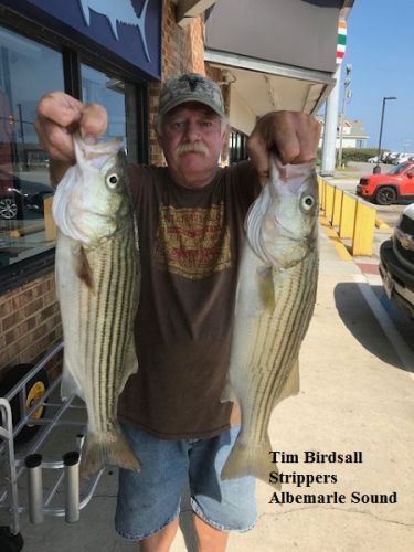 TW’s Bait & Tackle, Daily Fishing Report