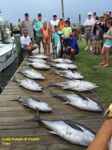 TW’s Bait & Tackle, Daily fishing Report