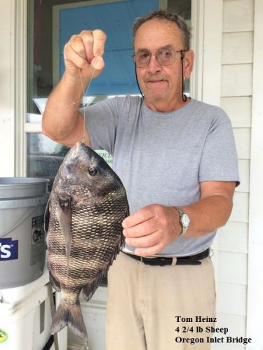 TW’s Bait & Tackle, Daily Fishing Report