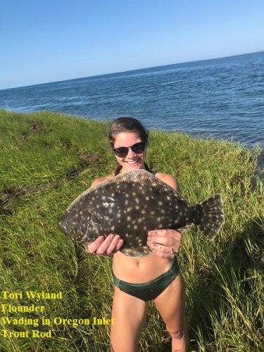 TW’s Bait & Tackle, Daily Fishing Report