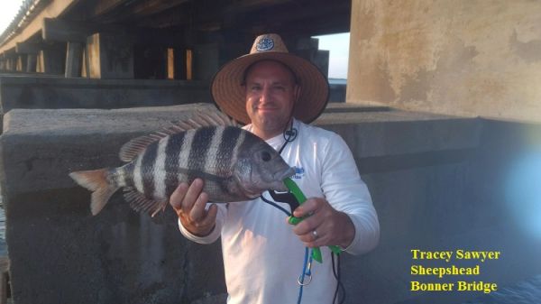 TW’s Bait & Tackle, Daily Fishing Report