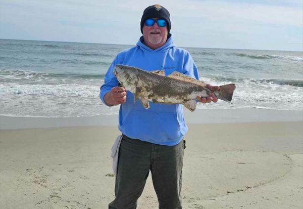 Tradewinds Tackle Shop, Puppy Drum in Ocracoke