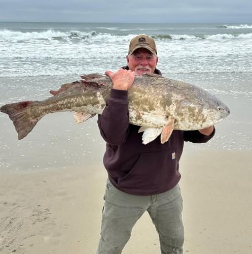 Tradewinds Tackle Shop, Ocracoke Red Drum