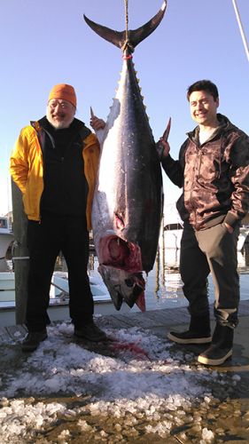 Tuna Duck Sportfishing, Trophy Bluefin At the Dock