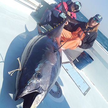 Tuna Duck Sportfishing, Trophy Bluefin