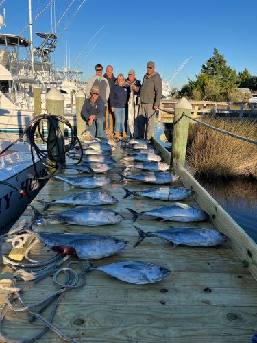 Pirate's Cove Marina, Did Somebody Say Tuna?