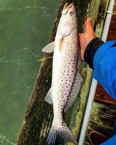 TW’s Bait & Tackle, Daily Fishing Report