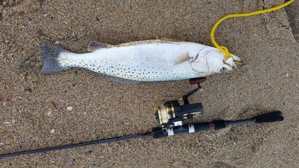 TW’s Bait & Tackle, Daily Fishing Report