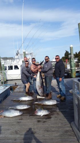 Pirate's Cove Marina, Bite!