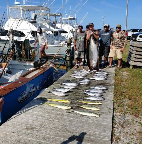 OBX Bait & Tackle Corolla Outer Banks, Corolla Fish Report