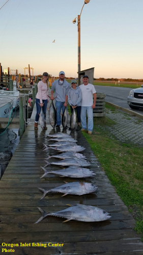 TW’s Bait & Tackle, TW's Daily fishing Report. 12/29/15