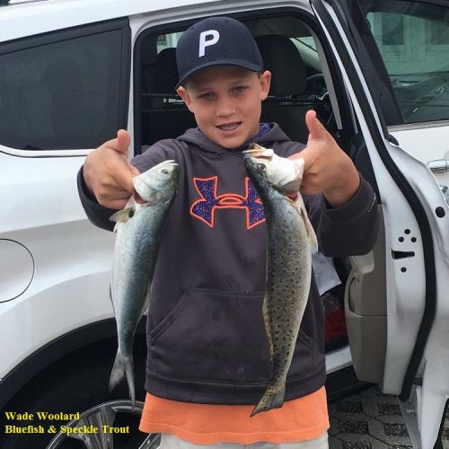 TW’s Bait & Tackle, Daily Fishing Report