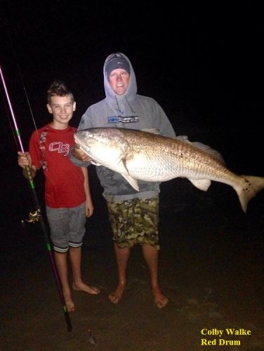 TW’s Bait & Tackle, Daily Fishing Report