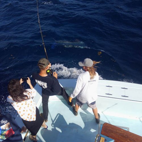 Tuna Duck Sportfishing, White Marlin and Mahi