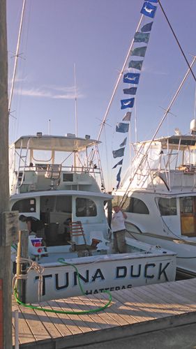 Tuna Duck Sportfishing, 14 White Marlins and 2 Roundscale Spearfish Released