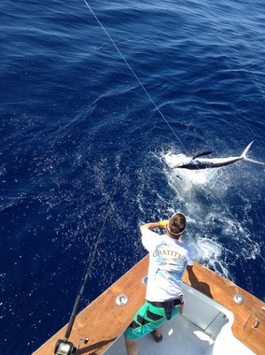 TW’s Bait & Tackle, Daily Fishing Report