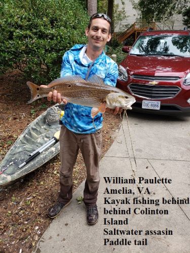 amelia bait and tackle