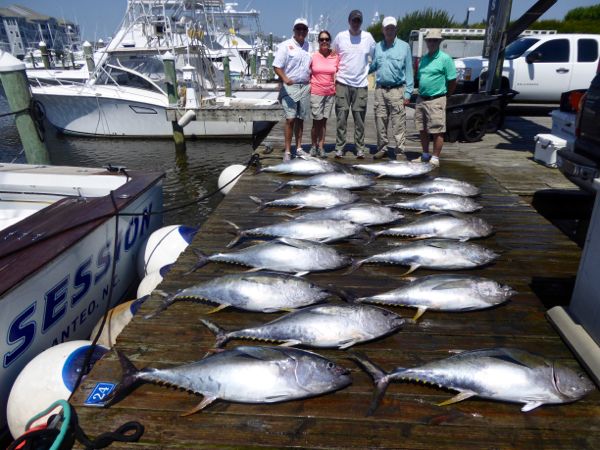 Obsession Charters, GREAT YELLOWFIN TUNA FISHING!