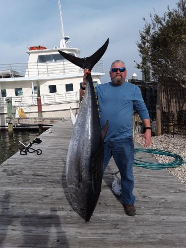 Pirate's Cove Marina, Tuna Tuesday!