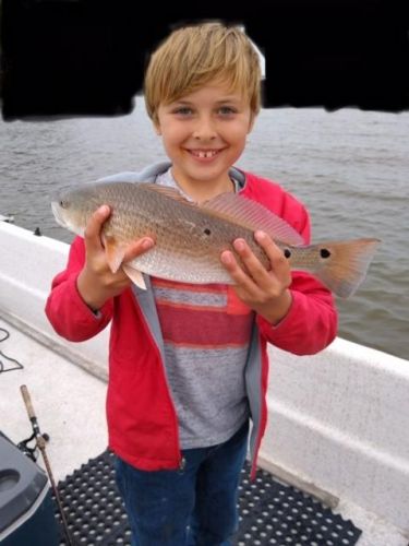 OBX Bait & Tackle Corolla Outer Banks, Corolla Fish Report