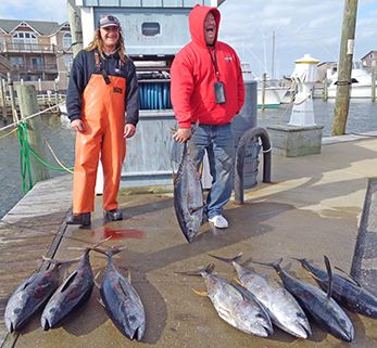 Tuna Duck Sportfishing, Yellowfin Tuna!