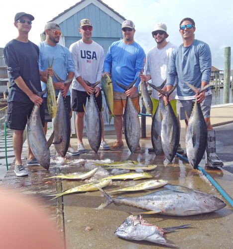 Tuna Duck Sportfishing, Yellowfin Tuna