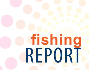 Dillon's Corner, Fishing Report 08/30/2021