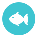 Miss Oregon Inlet II Head Boat Fishing Fishing Reports