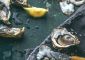 Outer Banks Oyster Harvesting